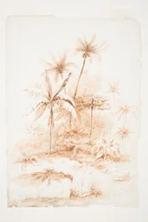 Tropische Vegetation, Loyalitätsinseln